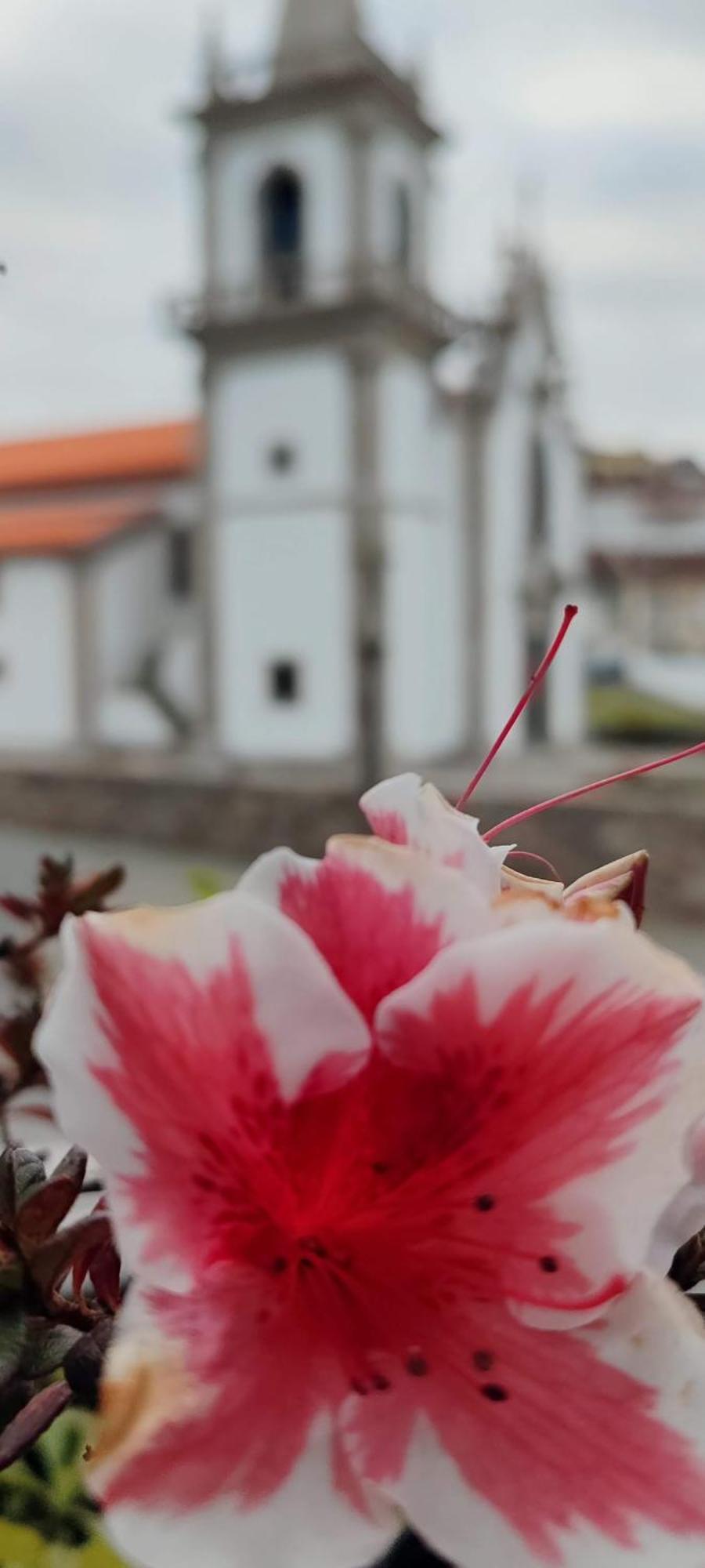 Donna Nega Alojamento Local 카민하 외부 사진